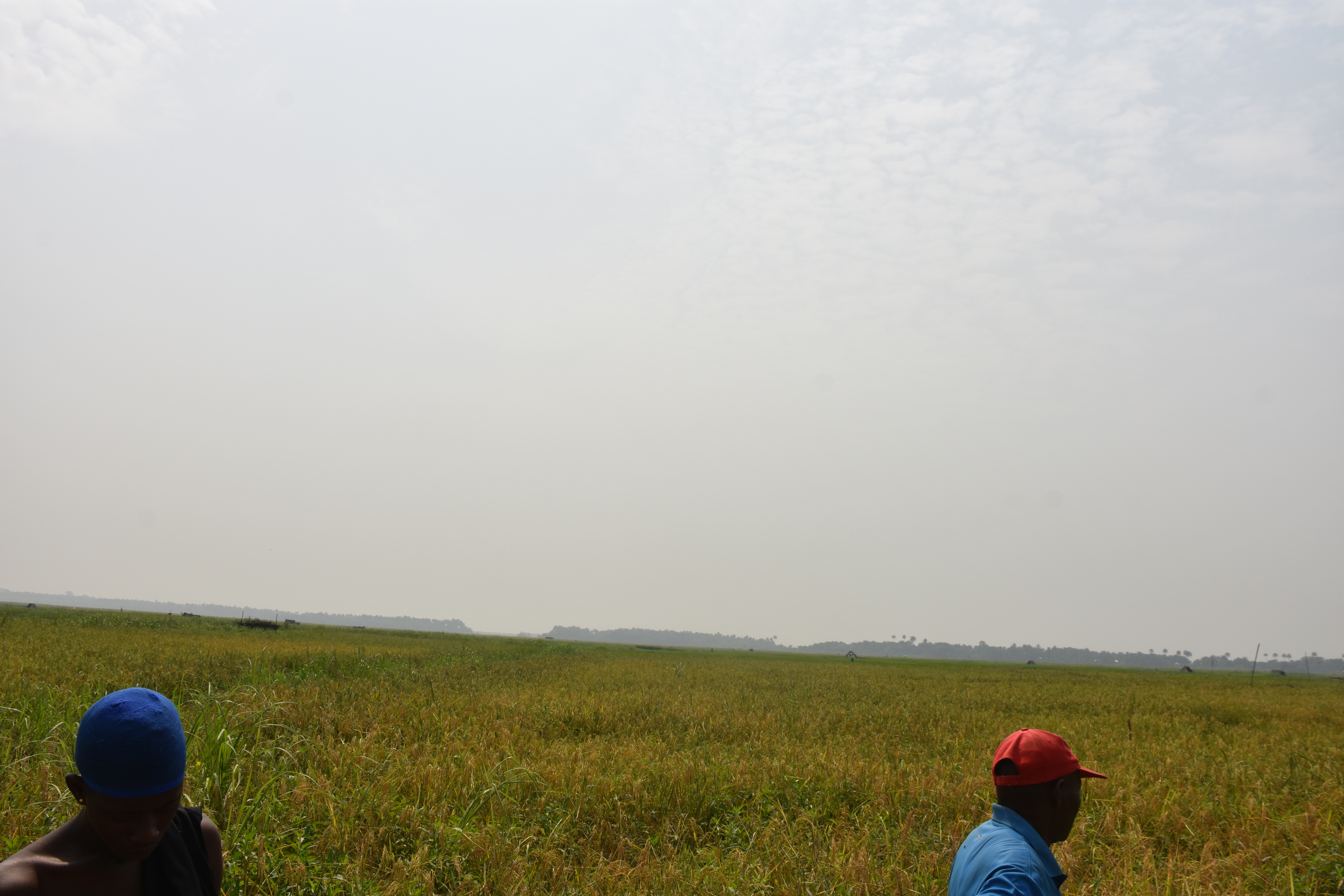 Agricultural Planning