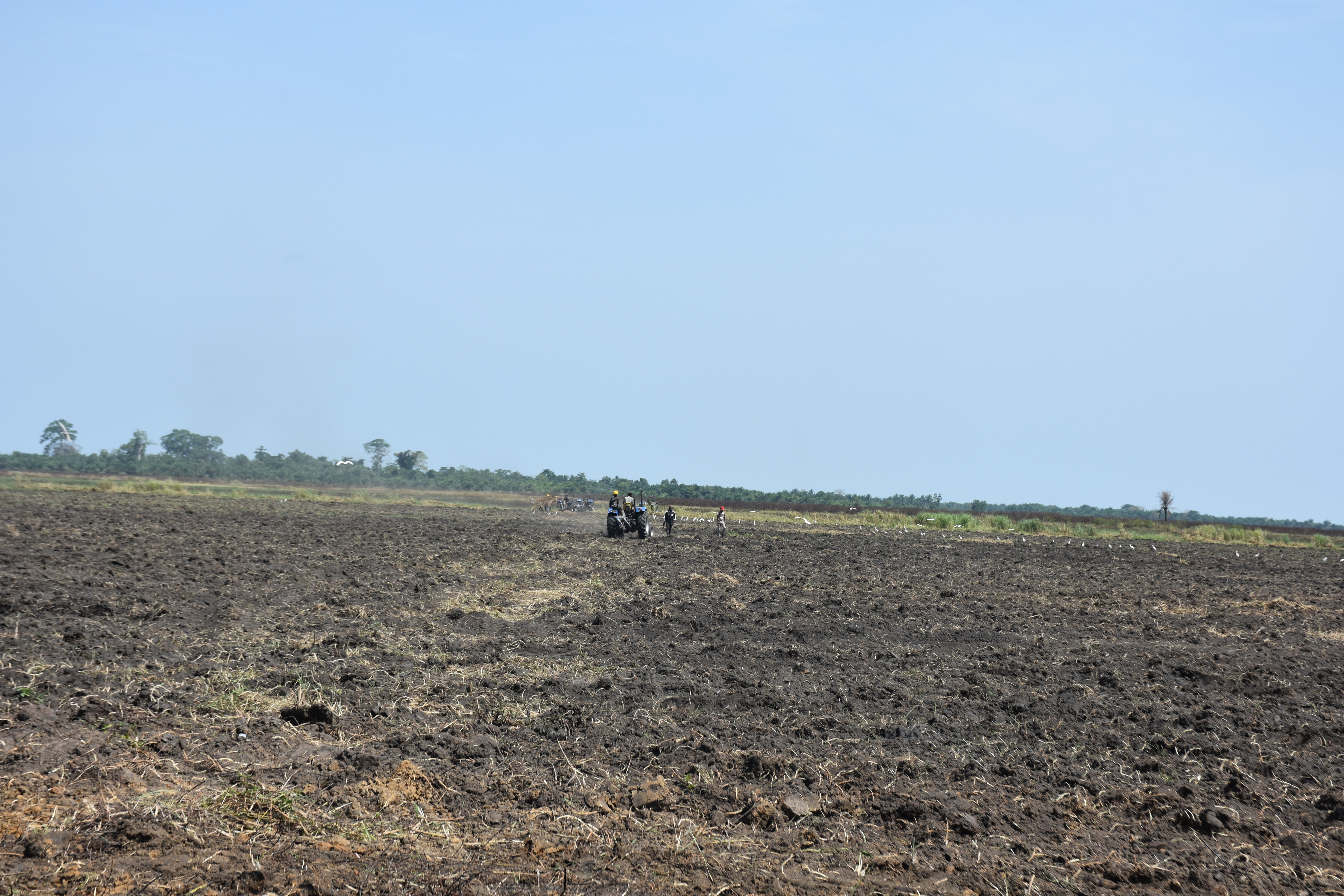 Technical Land Preparation Sequences