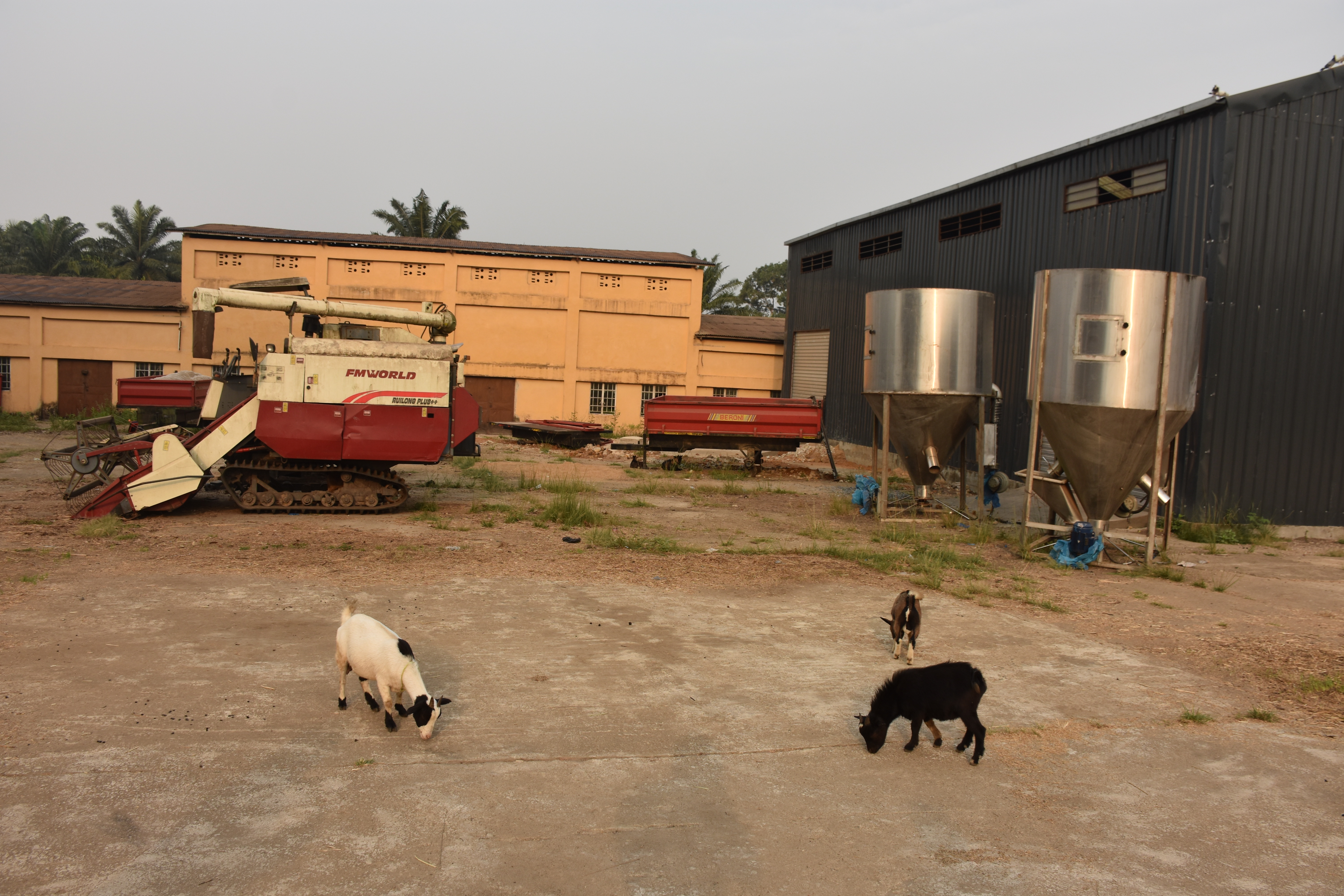Rice mills and storage